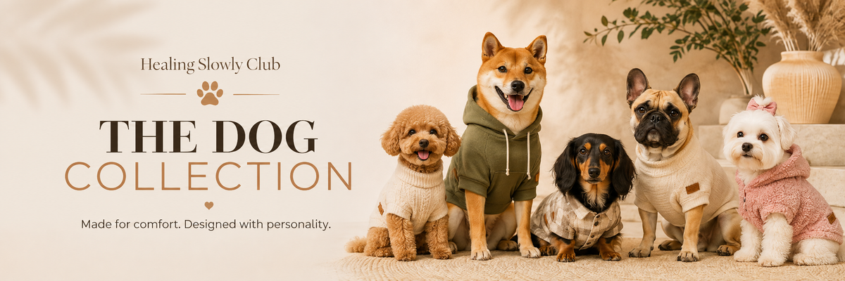 Dog Clothing & Accessories